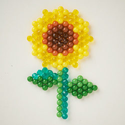 Подсолнечник